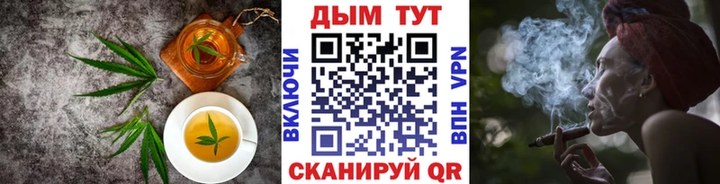 закладка  Олонец  Canna-Cookies конопля 