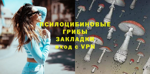 твердый Алзамай