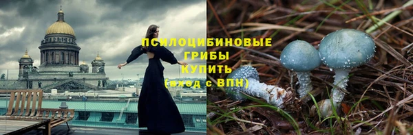 стафф Алексеевка